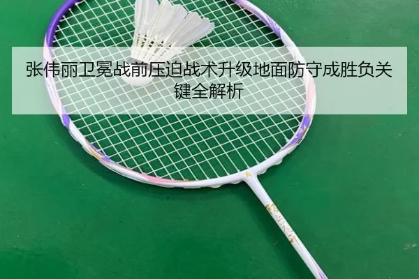 张伟丽卫冕战前压迫战术升级地面防守成胜负关键全解析